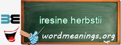 WordMeaning blackboard for iresine herbstii